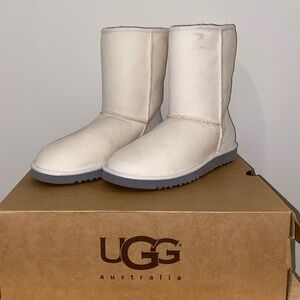 Never Worn Uggs